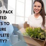 How to Pack Potted Plants to Ensure Complete Safety