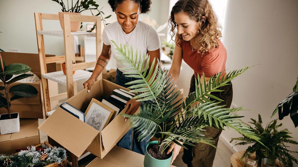 How to Pack Potted Plants to Ensure Complete Safety