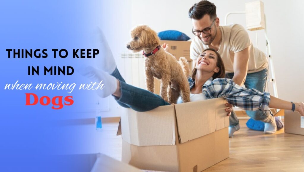 Things to Keep in Mind When Moving with Dogs- Learn the top tips for moving with dogs, reducing stress, and helping your pet settle into a new home easily.