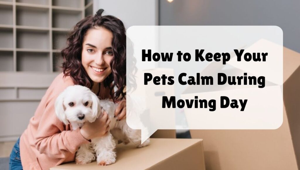 How to Keep Your Pets Calm During Moving Day