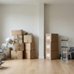 Cheap Removalists vs. Professional Removalists What's The Real Cost Difference
