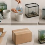 How to Pack and Move a Fish Tank Without Losing Your Fish